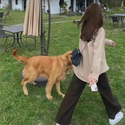 恐惧之眼